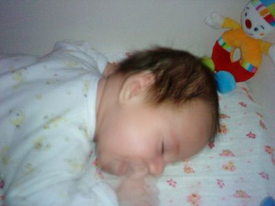 DSC00597.JPG