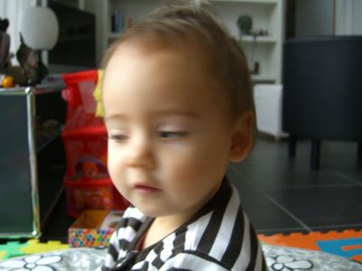 CIMG0232.JPG