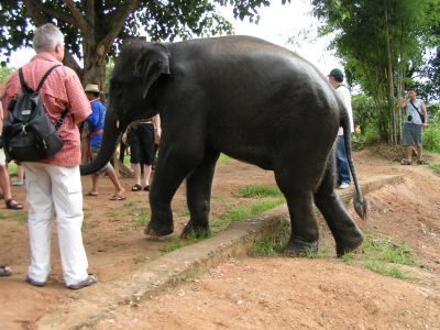 PICT0106.JPG