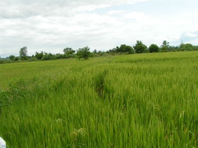 PICT0479.JPG