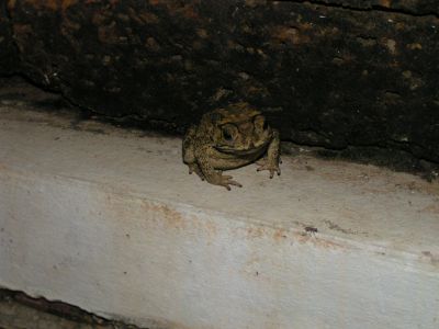 PICT0557.JPG
