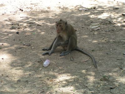 PICT0559.JPG