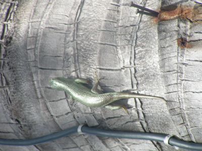 PICT0977.JPG