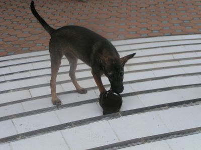 PICT1053.JPG