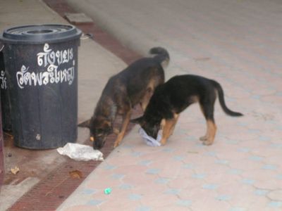 PICT1057.JPG