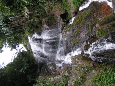 PICT1363.JPG
