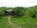 PICT0462.JPG
