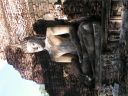 PICT0550.JPG
