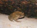 PICT0556.JPG