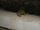 PICT0557.JPG