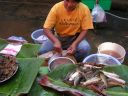 PICT0612.JPG